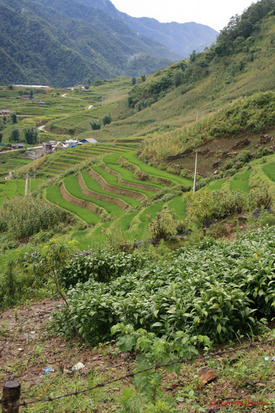 VietNam 20080728 147  